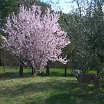 Il Cigliere Your Holiday Home In The Heart Of Tuscany