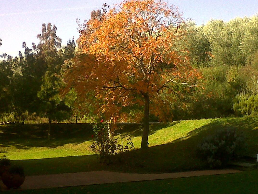 Il Cigliere Your In The Heart Of Tuscany