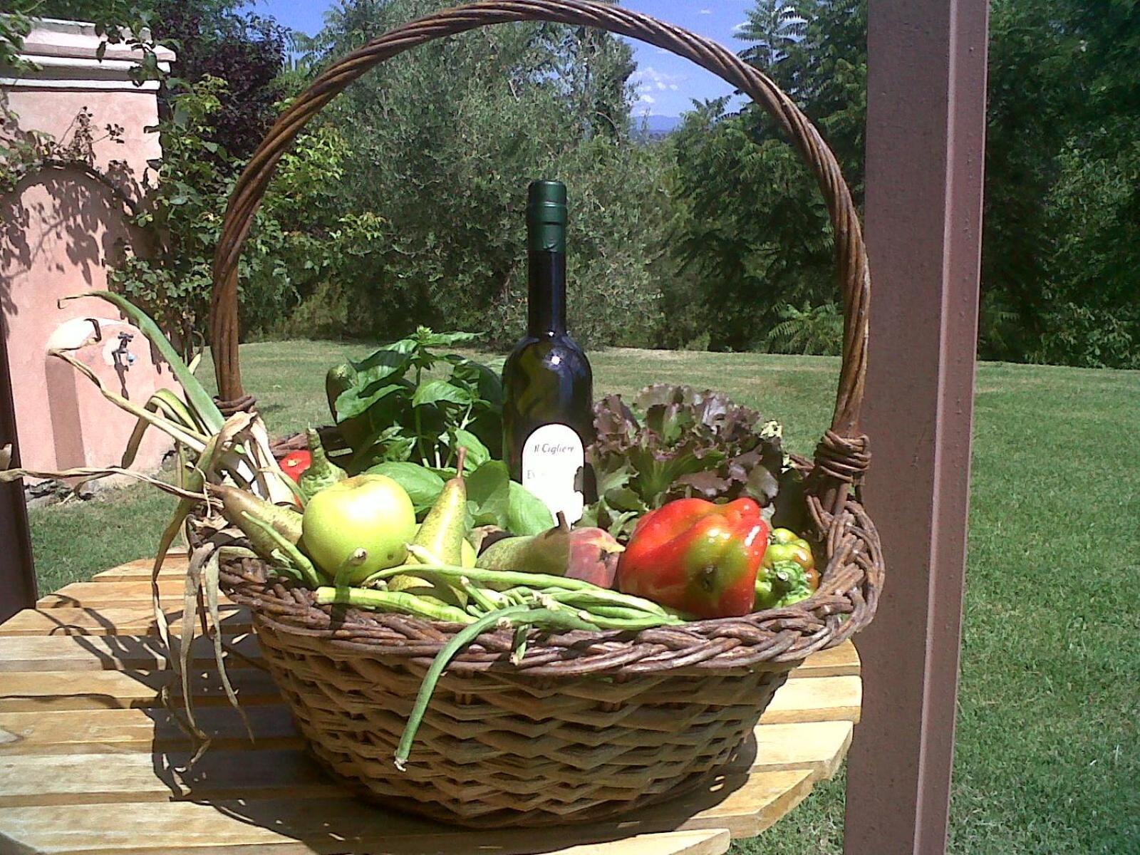 Il Cigliere Your In The Heart Of Tuscany Florencia