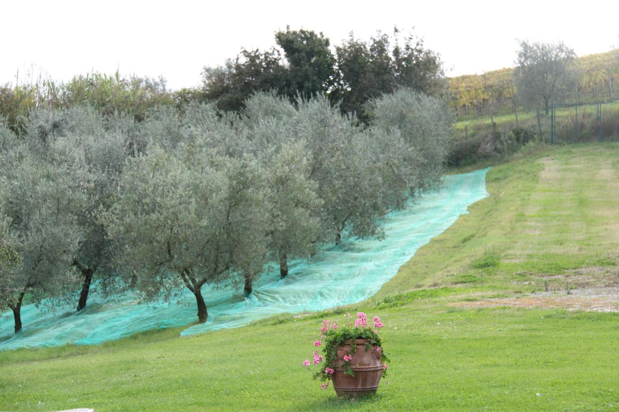 Сasa de vacaciones Il Cigliere Your In The Heart Of Tuscany *