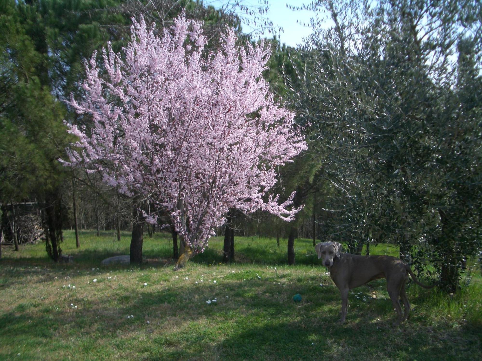 Сasa de vacaciones Il Cigliere Your In The Heart Of Tuscany *